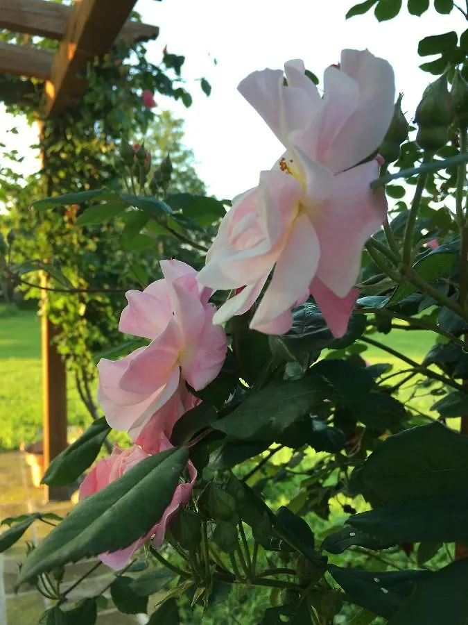 Agriturismo Settelune Bibbiano  Alojamento de Turismo Rural Bibbiano (Emilia-Romagna)
